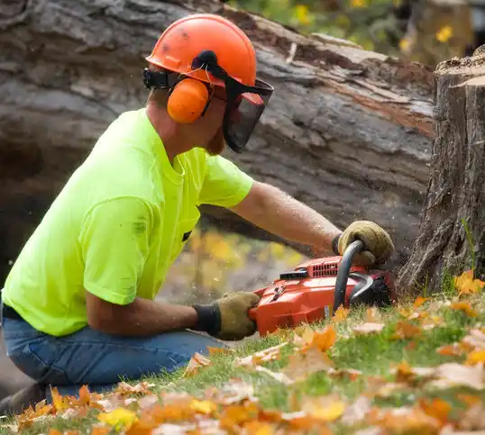 tree services Hancock